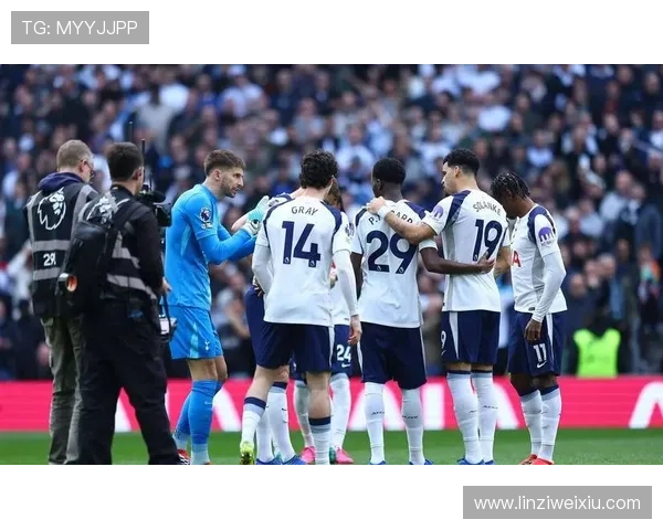 热刺保级战再遭重创 索兰克赛季恐报销